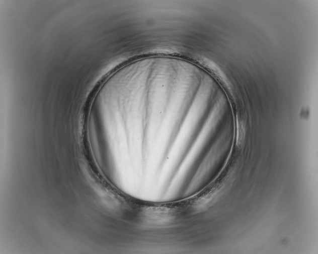 X0000090990435200708161920