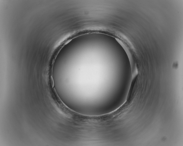 X0000090990436200708161920