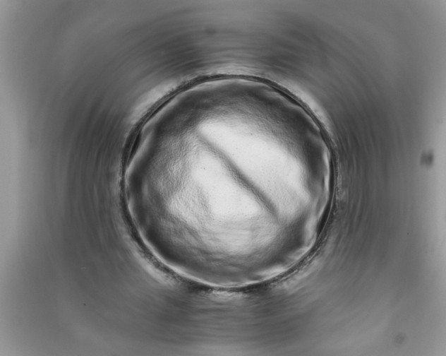 X0000090990437200708161920