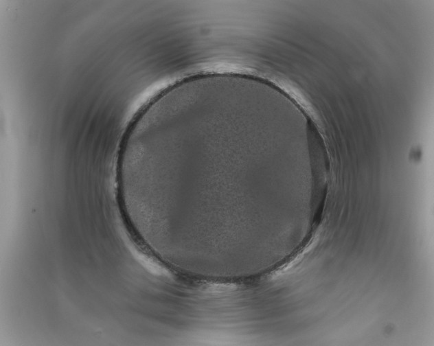 X0000090990438200708161920