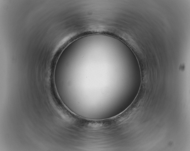 X0000090990440200708161920