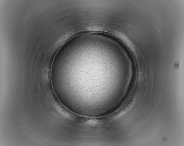 X0000090990441200708161920