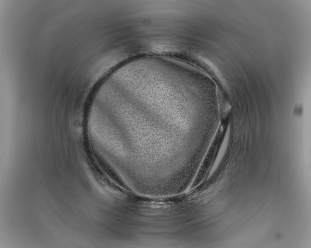 X0000090990443200708161920