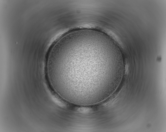 X0000090990444200708161920