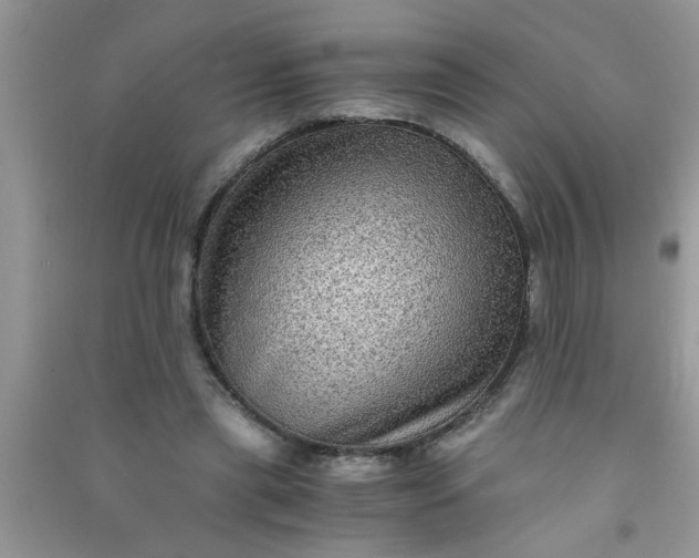 X0000090990445200708161920