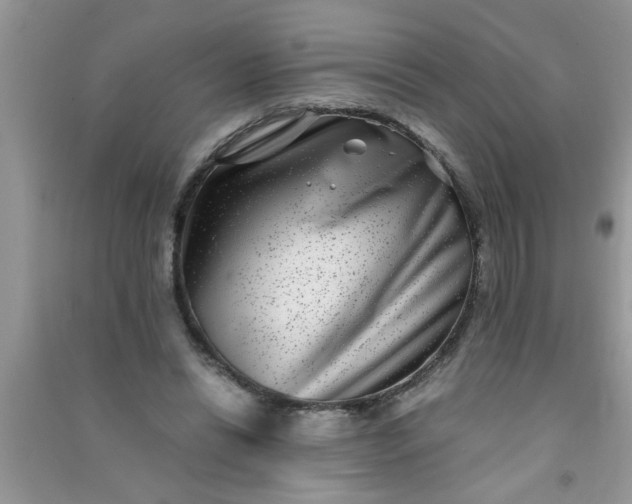 X0000090990446200708161920