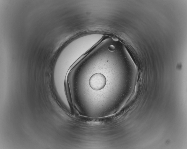 X0000090990448200708161920