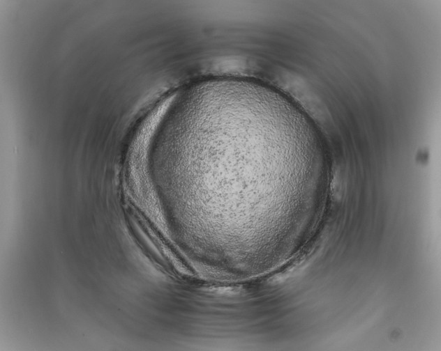 X0000090990449200708161920