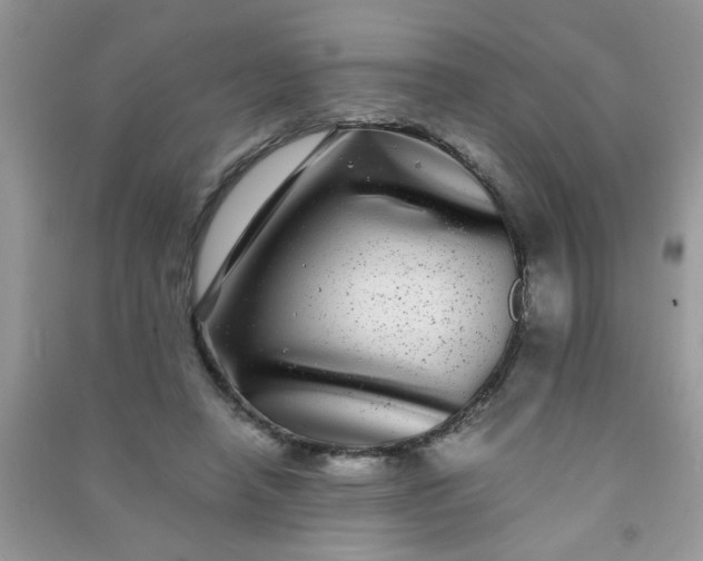 X0000090990450200708161920