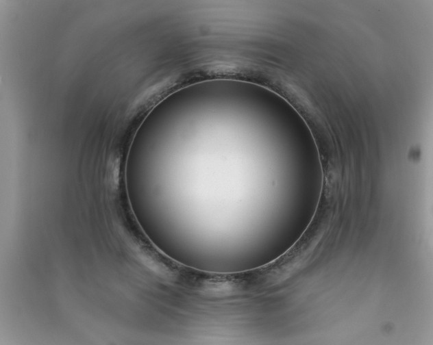 X0000090990454200708161920