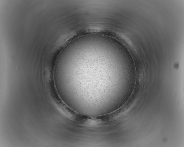 X0000090990455200708161920