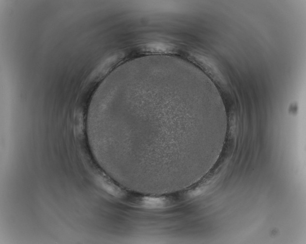 X0000090990457200708161920