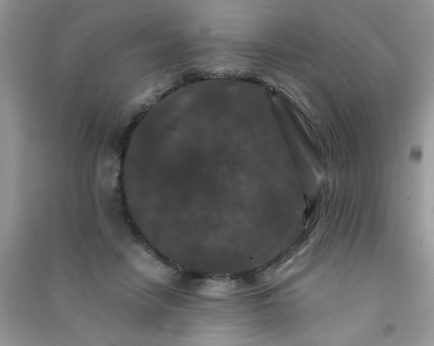 X0000090990458200708161920