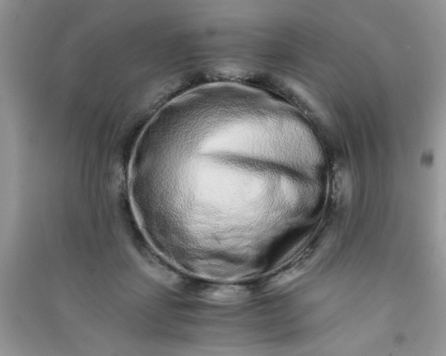 X0000090990459200708161920