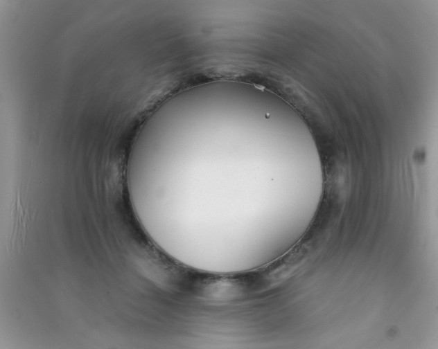 X0000090990460200708161920