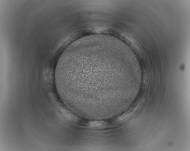 X0000090990461200708161920