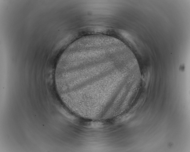 X0000090990462200708161920