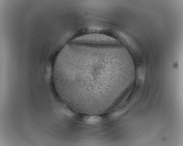 X0000090990463200708161920