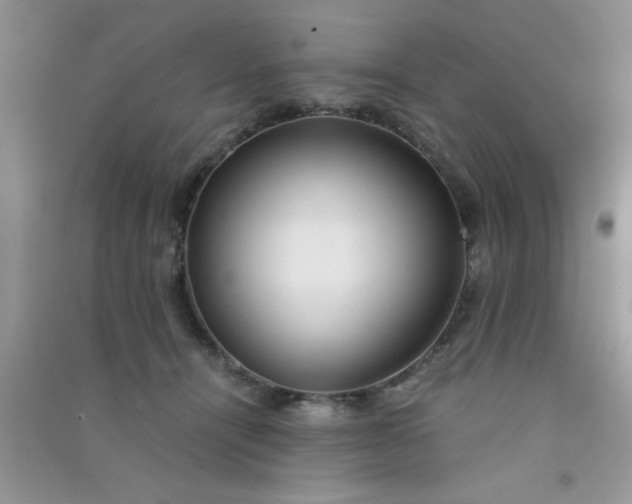 X0000090990464200708161921