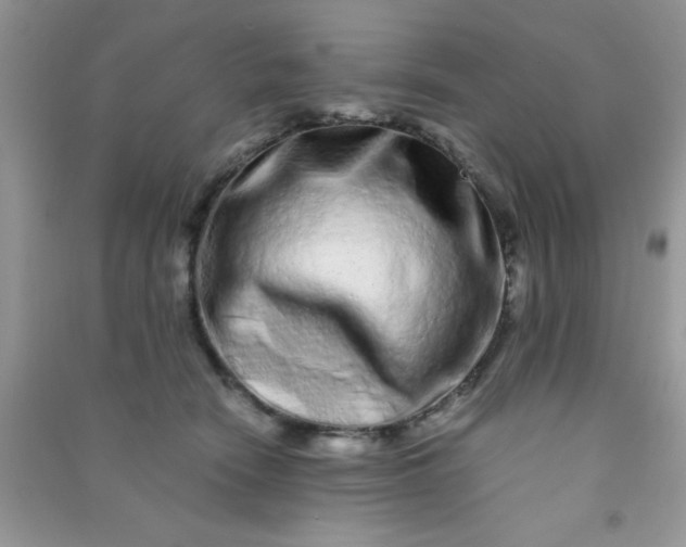 X0000090990466200708161921