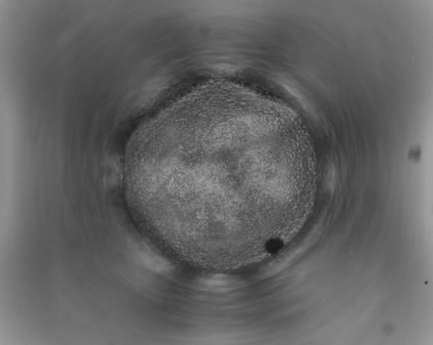 X0000090990467200708161921