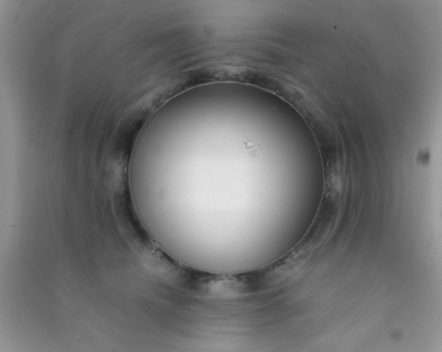 X0000090990468200708161921