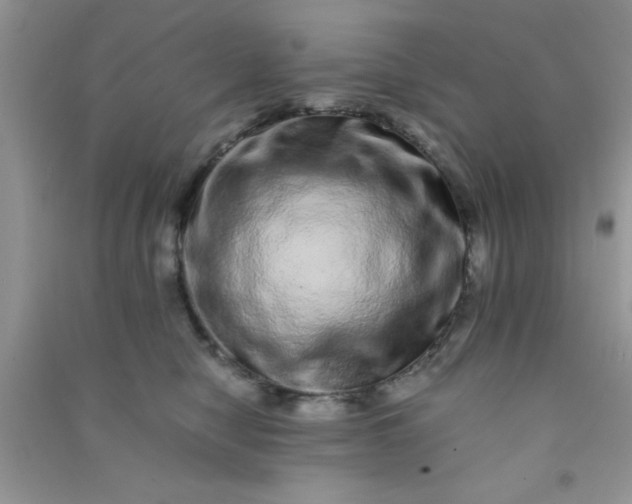 X0000090990470200708161921