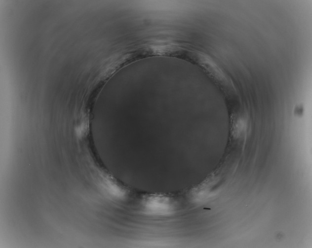 X0000090990471200708161921