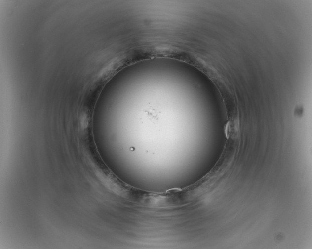 X0000090990472200708161921