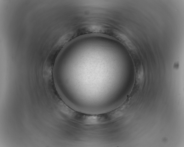 X0000090990473200708161921