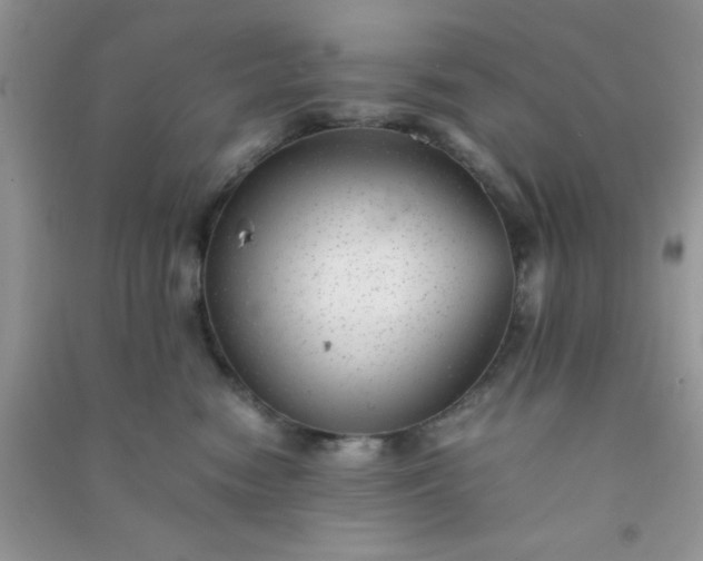 X0000090990474200708161921