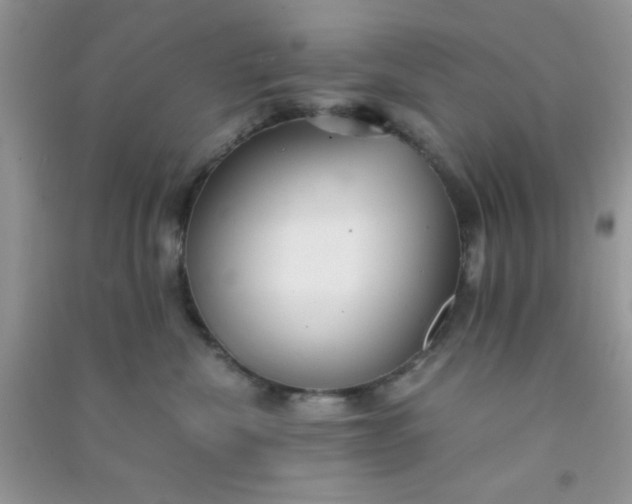 X0000090990476200708161921