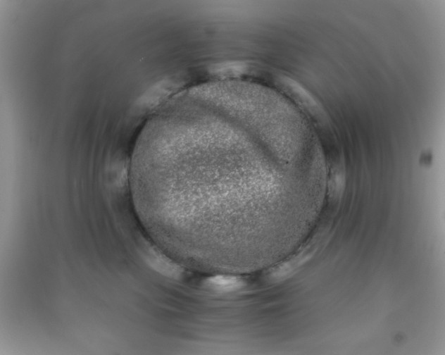 X0000090990477200708161921