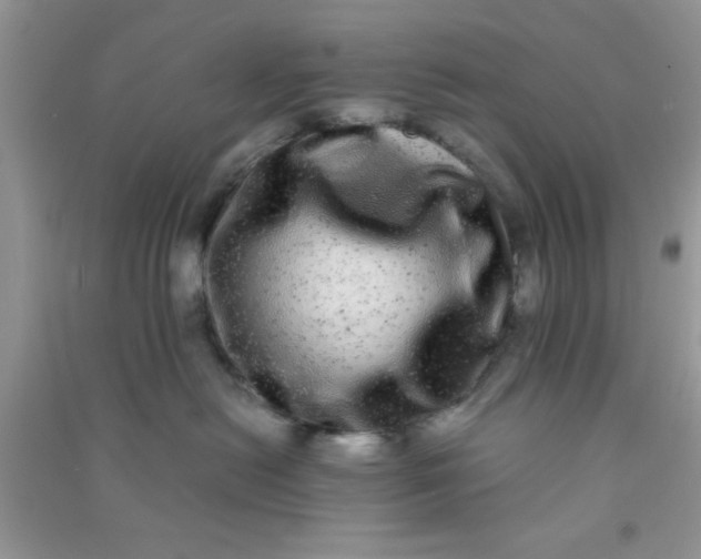 X0000090990478200708161921