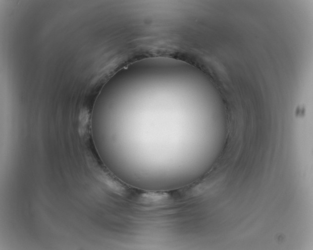 X0000090990480200708161921