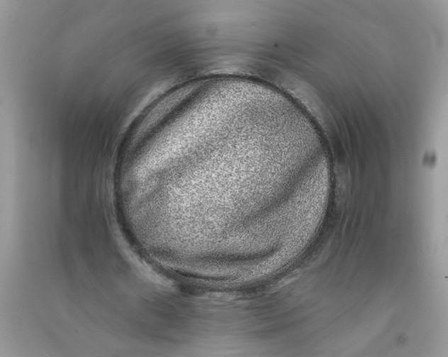 X0000090990482200708161920