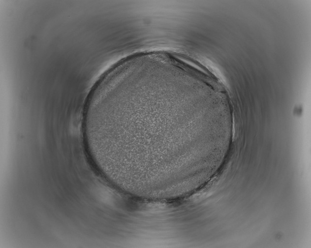 X0000090990483200708161920