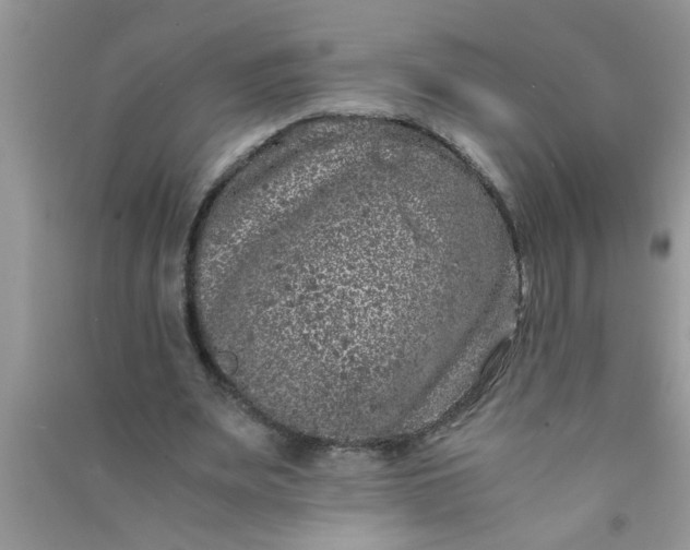 X0000090990487200708161920