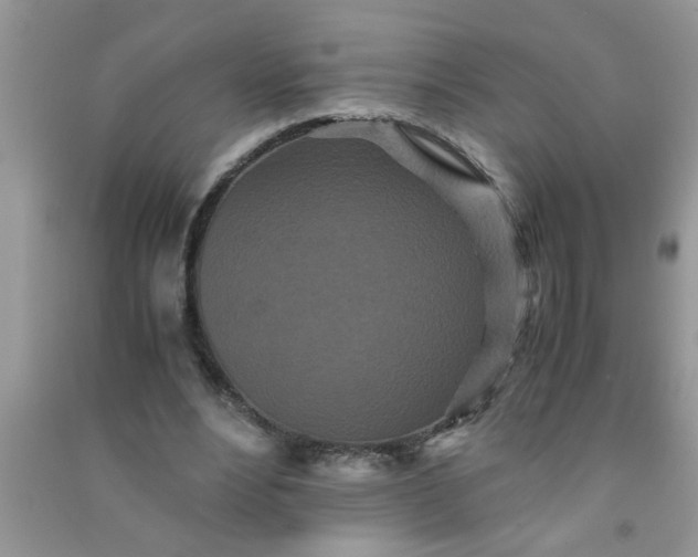 X0000090990488200708161920