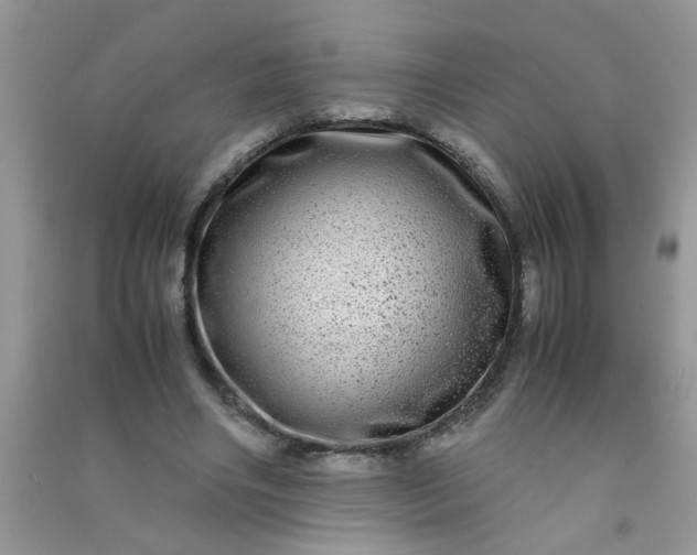 X0000090990490200708161920