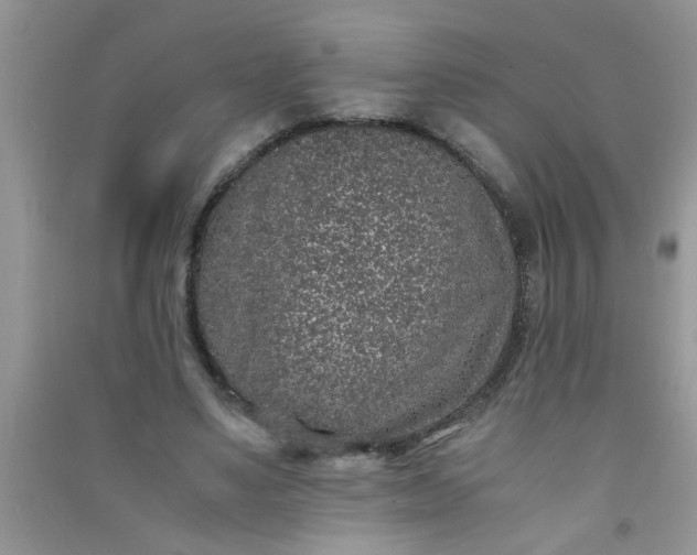 X0000090990491200708161920