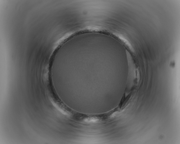 X0000090990492200708161920