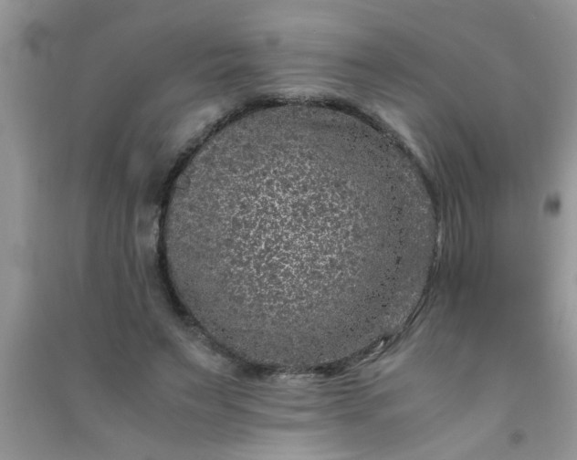 X0000090990495200708161920