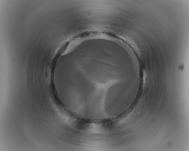 X0000090990496200708161920