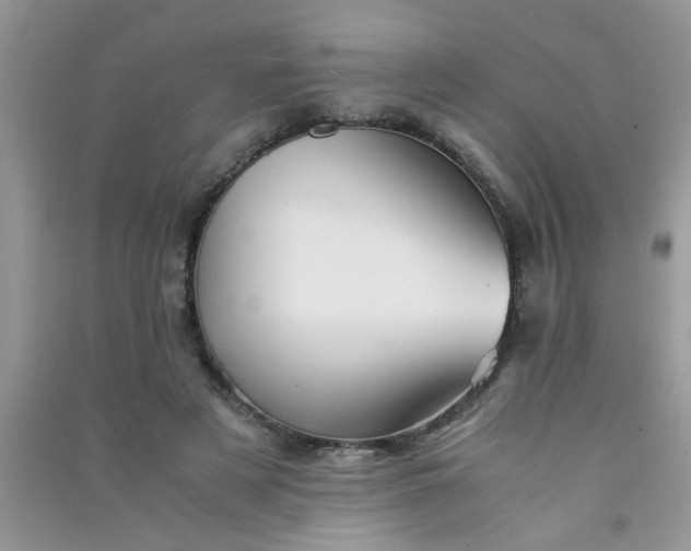 X0000090990497200708161920