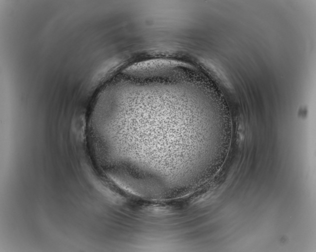 X0000090990498200708161920