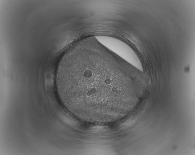 X0000090990499200708161920