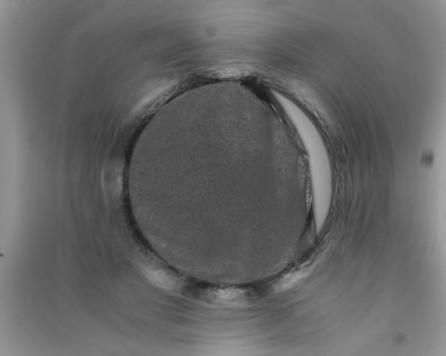 X0000090990501200708161920