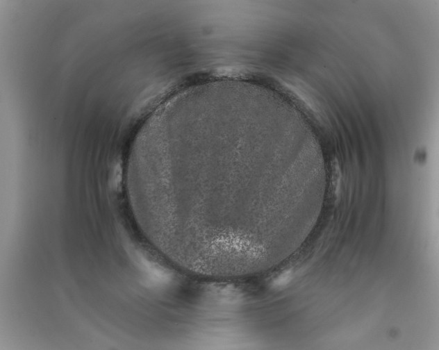 X0000090990502200708161920