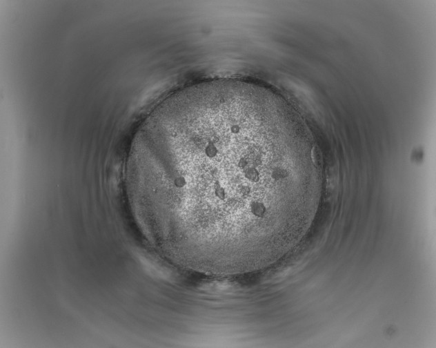 X0000090990503200708161920